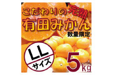 ＼農家直送／こだわりの完熟有田みかん LLサイズ約5kg 有機質肥料100%【11月上旬より順次発送】※着日指定送不可※沖縄及び離島への発送不可