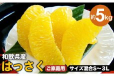和歌山由良町産 はっさく 約5kg（訳あり）（御家庭用）サイズ混合（S～3L） ※着日指定不可 ※2024年2月下旬～4月下旬頃に順次発送予定