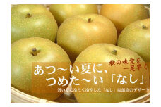和歌山の梨（なし）幸水品種 [約4kg]【秀品：サイズおまかせ】和歌山県産 フルーツ 紀伊国屋文左衛門本舗※着日指定不可※2024年8月上旬～8月中旬頃に順次発送予定