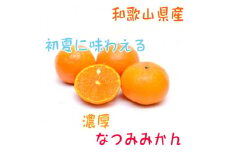 【先行予約】【初夏の美味】【みかん名産地和歌山有田】濃厚なつみみかん(ご家庭用)　約3.5kg
※2024年4月中旬～5月中旬頃に順次発送予定
※北海道・沖縄・離島への配送不可