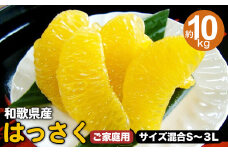 和歌山由良町産 はっさく 約10kg (訳あり)(御家庭用) サイズ混合 (S～3L) ※2025年2月下旬～4月中旬頃に順次発送予定