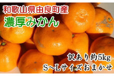 【訳あり・ご家庭用】和歌山由良町産のみかん約5kg ※2025年11月中旬～12月下旬頃に順次発送予定