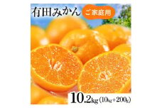 【先行予約】【数量限定】濃厚有田みかん（ご家庭用）10.2kg(10kg+200g(傷み補償分))｜有田みかんみかん 濃厚みかん みかんご家庭用 みかん5.7kg みかん5.5kg みかん傷み補償 みかん先行予約 みかん数量限定 ミカン 蜜柑 温州みかん ありたみかん 完熟みかん 完熟有田みかん ※2025年10月上旬～2026年1月下旬頃に順次発送予定 ※北海道・沖縄・離島への配送不可