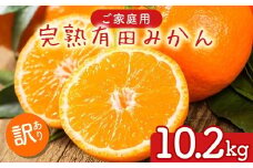 【先行予約】【数量限定】濃厚有田みかん（ご家庭用）10.2kg(10kg+200g(傷み補償分))｜有田みかんみかん 濃厚みかん みかんご家庭用 みかん5.7kg みかん5.5kg みかん傷み補償 みかん先行予約 みかん数量限定 ミカン 蜜柑 温州みかん ありたみかん 完熟みかん 完熟有田みかん ※2025年10月上旬～2026年1月下旬頃に順次発送予定 ※北海道・沖縄・離島への配送不可