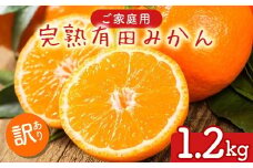 【先行予約】【数量限定】濃厚有田みかん（ご家庭用）1.2kg(1kg+200g(傷み補償分))｜有田みかんみかん 濃厚みかん みかんご家庭用 みかん5.7kg みかん5.5kg みかん傷み補償 みかん先行予約 みかん数量限定 ミカン 蜜柑 温州みかん ありたみかん 完熟みかん 完熟有田みかん ※2025年10月上旬～2026年1月下旬頃に順次発送予定 ※北海道・沖縄・離島への配送不可