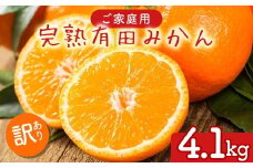 【先行予約】【数量限定】濃厚有田みかん(ご家庭用) 4.1kg(3.9kg+200g(傷み補償分)) ※2025年10月上旬～2026年1月下旬頃に順次発送予定 ※北海道・沖縄・離島への配送不可 