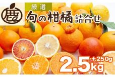 ＜1月より発送＞厳選 柑橘詰合せ2.5kg+250g（傷み補償分）◇【有田の春みかん詰め合わせ・フルーツ詰め合せ・オレンジつめあわせ】【光センサー選別】 ※北海道・沖縄・離島への配送不可 ※2026年1月上旬～4月下旬頃に順次発送予定