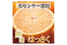 ＜4月より発送＞厳選 樹上完熟はっさく7.5kg+225g（傷み補償分）【有田の春みかん・五月八朔・さつきはっさく・木生りはっさく・きなりはっさく】【光センサー選別】◇　※北海道・沖縄・離島への配送不可　※2025年4月上旬～5月下旬頃に順次発送予定