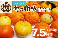 ＜1月より発送＞家庭用 柑橘詰合せ7.5kg+250g（傷み補償分）◇【訳あり・わけあり】【有田の春みかん詰め合わせ・フルーツ詰め合せ・オレンジつめあわせ】【光センサー選別】 ※北海道・沖縄・離島への配送不可 ※2026年1月上旬～4月下旬頃に順次発送予定