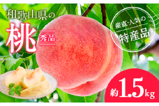 【産直・人気の特産品】和歌山の桃 約1.5kg ※北海道・沖縄・離島への配送不可 ※2025年6月下旬～8月上旬頃に順次発送予定