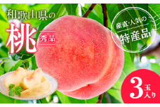 【産直・人気の特産品】和歌山の桃 3玉入り ※北海道・沖縄・離島への配送不可 ※2025年6月下旬～8月上旬頃に順次発送予定