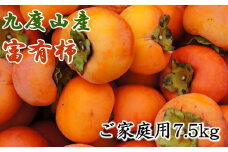 ≪柿の名産地≫九度山の富有柿約7.5kgご家庭用 ※2025年11月上旬～12月上旬頃に順次発送予定