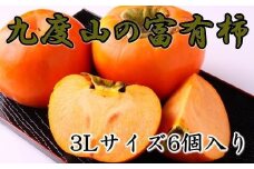 ≪柿の名産地≫九度山町の富有柿3Lサイズ6個入り ※2025年11月中旬～12月上旬頃に順次発送予定