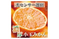 家庭用 小玉な有田みかん2.5kg+250g（傷み補償分）【わけあり・訳あり】【光センサー選果】 ※北海道・沖縄・離島への配送不可 ※2025年11月上旬～2026年1月下旬頃に順次発送予定