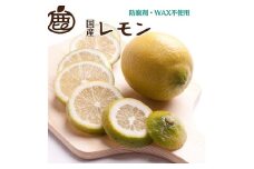 ＜9月より発送＞レモン5kg+250g（傷み補償分）【和歌山有田産】【防腐剤・WAX不使用、安心の国産レモン】 ※北海道・沖縄・離島への配送不可 ※2025年9月中旬～2026年4月下旬頃に順次発送予定