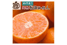 ＜2024年11月より発送＞家庭用 超熟有田みかん1kg+30g（傷み補償分）【わけあり・訳あり】【光センサー選果】  ※北海道・沖縄・離島への配送不可 ※2024年11月上旬～12月下旬頃に順次発送予定