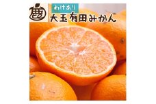 家庭用 大きな有田みかん10kg+250g（傷み補償分）【わけあり・訳あり】【光センサー選果】 ※北海道・沖縄・離島への配送不可 ※2025年11月上旬～2026年1月下旬頃に順次発送予定