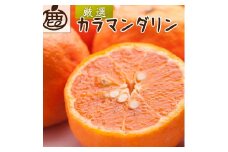 ＜4月より発送＞厳選 カラマンダリン5kg+250g（傷み補償分）◇【南津海・なつみ】【希少な春柑橘】【みかんと同じように食べられます】 ※北海道・沖縄・離島への配送不可 ※2026年4月上旬～5月下旬頃に順次発送予定