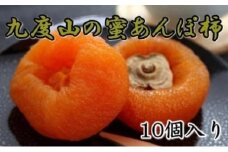 【無添加】九度山あんぽ柿「蜜あんぽ」大きめサイズ10袋入り ※2025年12月中旬～2026年3月上旬頃に順次発送予定