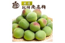 ＜6月発送＞ 厳選 紀州南高梅(青梅)10kg+300g（傷み補償分）〇【朝摘み・とれたて直送便】【梅干し・梅酒・梅ジュース】【和歌山産】※北海道・沖縄・離島への配送不可 ※2025年6月上旬～6月下旬頃に順次発送予定