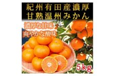 〈定期便〉【1・4・7・10月 全4回】魚鶴のフルーツ定期便（みかん・オレンジ・桃・柿）◆｜フルーツ ふるーつ 果物 くだもの 詰め合わせ 果物定期便 みかん オレンジ もも かき  国産 産地直送 美浜町