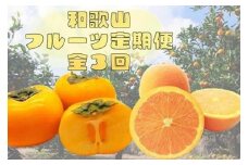 〈定期便〉【10・11・12月 全3回】和歌山人気のフルーツ定期便（柿・みかん）【魚鶴厳選】