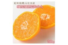 〈定期便〉【1・2・3月 全3回】紀州和歌山産旬のご家庭用柑橘セット(みかん・不知火・レモン)　※離島への配送不可
