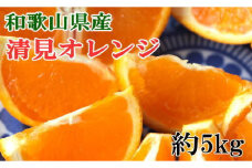 和歌山県産清見オレンジ約5kg(サイズ混合) ※2025年3月中旬～4月上旬頃に順次発送予定