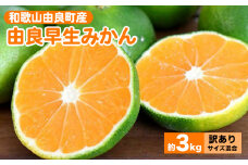 和歌山由良町産 由良早生みかん 約3kg 訳あり キズ 御家庭用 サイズ混合 ※北海道・沖縄・離島への配送不可 ※2024年10月上旬～11月上旬頃に順次発送予定