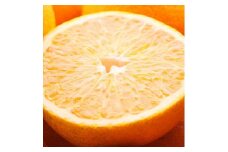 ＜1月より発送＞厳選 はっさく2.5kg+250g（傷み補償分） ｜ 八朔みかん ハッサク ※北海道・沖縄・離島への配送不可 ※2026年1月上旬～3月下旬頃に順次発送予定 ◇
