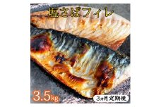〈毎月定期便〉【ご家庭用　訳あり】塩さばフィレ3.5kg 全3回◇ ※離島への配送不可