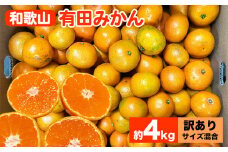 【先行予約】【訳あり】和歌山 有田みかん 約4kg（サイズ混合） ｜ みかん 訳あり 柑橘 先行受付 4kg フルーツ 果実 果物 SS 2L 混合◇ ※北海道・沖縄・離島への配送不可 ※2024年10月下旬～2025年1月中旬頃に順次発送予定