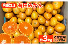 【先行予約】【ご家庭用】和歌山 有田みかん 約3kg（サイズ混合） | みかん 訳あり 柑橘 先行受付 3kg フルーツ 果実 果物 SS 2L 混合 ※北海道・沖縄・離島への配送不可 ※2024年10月下旬～2025年1月中旬頃に順次発送予定
