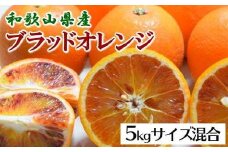 【希少・高級柑橘】国産濃厚ブラッドオレンジ「タロッコ種」約5kg ※2026年4月上旬～4月下旬頃に順次発送予定