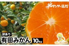 【訳あり】有田みかん 10kg | 農家直送 訳あり ご家庭用 サイズ混合 光センサー選別 温州みかん みかん 訳あり わけあり 家庭用 ※2025年11月中旬～12月下旬頃に順次発送予定 ※北海道・沖縄・離島への配送不可