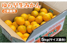 ご家庭用 ゆら早生みかん (サイズ混合) 5kg | みかん 柑橘 和歌山 ミカン ゆら早生 早生 早生みかん 家庭用 フルーツ 果物 5kg ※2024年10月上旬～10月下旬頃に順次発送予定