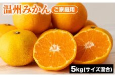 ご家庭用 温州みかん (サイズ混合) 5kg | みかん 柑橘 和歌山 ミカン 温州 家庭用 フルーツ 果物 5kg ※2025年10月下旬～12月下旬頃に順次発送予定
