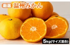 厳選 温州みかん (サイズ混合) 5kg | みかん 柑橘 和歌山 みかん 温州 厳選 フルーツ 果物 5kg ※2024年11月上旬～12月下旬頃に順次発送予定