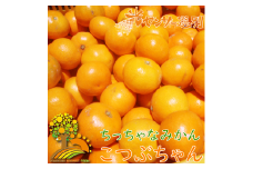 ちっちゃな 有田みかん こつぶみかん 5kg （3S～Sサイズ混合）| 小粒 光センサー選別 温州みかん みかん 柑橘 果物 くだもの フルーツ  ※2024年11月中旬～2025年1月下旬頃に順次発送予定 ※北海道・沖縄・離島への配送不可