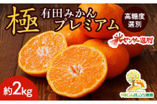 ＼光センサー選別／極 有田みかんプレミアム 約2kg【光センサー 高糖度選別品】2S～Mの小玉サイズ 有機質肥料100% | 光センサー選別 温州みかん みかん 高糖度 柑橘 果物 フルーツ 甘い ※2025年11月下旬～2026年1月上旬頃に順次発送予定  ※北海道・沖縄・離島への配送不可