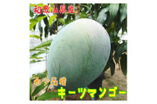 【希少マンゴー】濃厚キーツマンゴー 約800g(1～2玉) ｜ 先行予約 濃厚 果物 フルーツ 甘い ※2024年9月下旬～10月中旬頃に順次発送予定