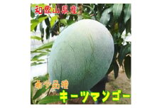 【希少マンゴー】濃厚キーツマンゴー 約800g(1～2玉) ｜ 先行予約 濃厚 果物 フルーツ 甘い ※2025年9月上旬～10月中旬頃に順次発送予定