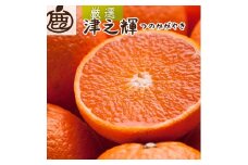 ＜2月より発送＞厳選 津之輝7.5kg+250g（傷み補償分）｜つのかがやき【光センサー選別】 ※北海道・沖縄・離島への配送不可 ｜ 柑橘 フルーツ 果物 濃厚 春 旬 和歌山 先行予約 選べる 国産 産地直送 春柑橘 美浜町　※2026年2月上旬～4月中旬頃に順次発送予定