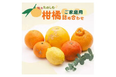 ＜1月より発送＞家庭用 柑橘詰合せ5kg+250g（傷み補償分）◇【訳あり・わけあり】【有田の春みかん詰め合わせ・フルーツ詰め合せ・オレンジつめあわせ】【光センサー選別】 ※北海道・沖縄・離島への配送不可 ※2026年1月上旬～4月下旬頃に順次発送予定
