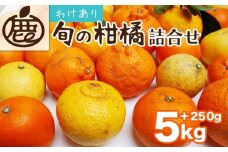 ＜1月より発送＞家庭用 柑橘詰合せ5kg+250g（傷み補償分）◇【訳あり・わけあり】【有田の春みかん詰め合わせ・フルーツ詰め合せ・オレンジつめあわせ】【光センサー選別】 ※北海道・沖縄・離島への配送不可 ※2026年1月上旬～4月下旬頃に順次発送予定