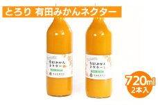 とろり みかんネクター720ml ×2本｜無添加 100% ストレートジュース 有田みかんジュース ※北海道・沖縄・離島への配送不可