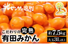 有田みかん 約7.5kg 大玉3L以上 有機質肥料100% ＼光センサー選別／ 農家直送 ※北海道・沖縄・離島への配送不可 ※2025年11月中旬～2026年1月上旬頃に順次発送予定