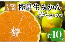 こだわりの極早生みかん 約10kg 農家直送 有機質肥料100% サイズ混合 ｜ みかん 極早生 早生 柑橘 果物 くだもの 果実 フルーツ 和歌山 有田 ※北海道・沖縄・離島への配送不可 ※2025年9月下旬～10月中旬頃に順次発送予定