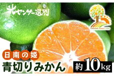 こだわりの青切りみかん 約10kg 農家直送 有機質肥料 100% サイズ混合 ｜ みかん 柑橘 果物 くだもの 果実 フルーツ 和歌山 有田 ※北海道・沖縄・離島への配送不可 ※2025年9月下旬～10月上旬頃に順次発送予定
