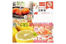 〈定期便〉【1・3・7月 全3回】紀州和歌山産旬のフルーツセット（あんぽ柿・レモン・桃） ※離島への配送不可